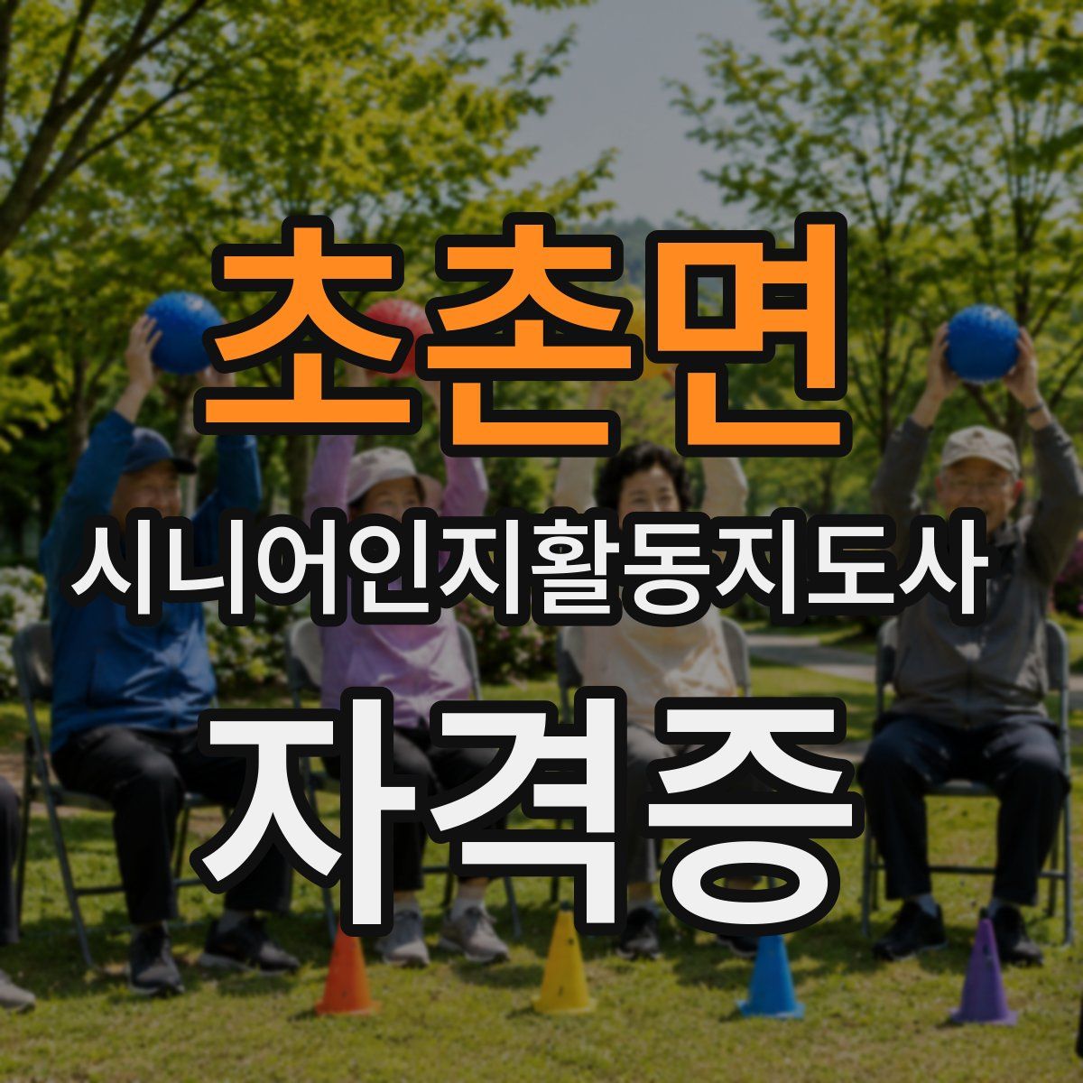 초촌면 시니어인지활동지도사 자격증