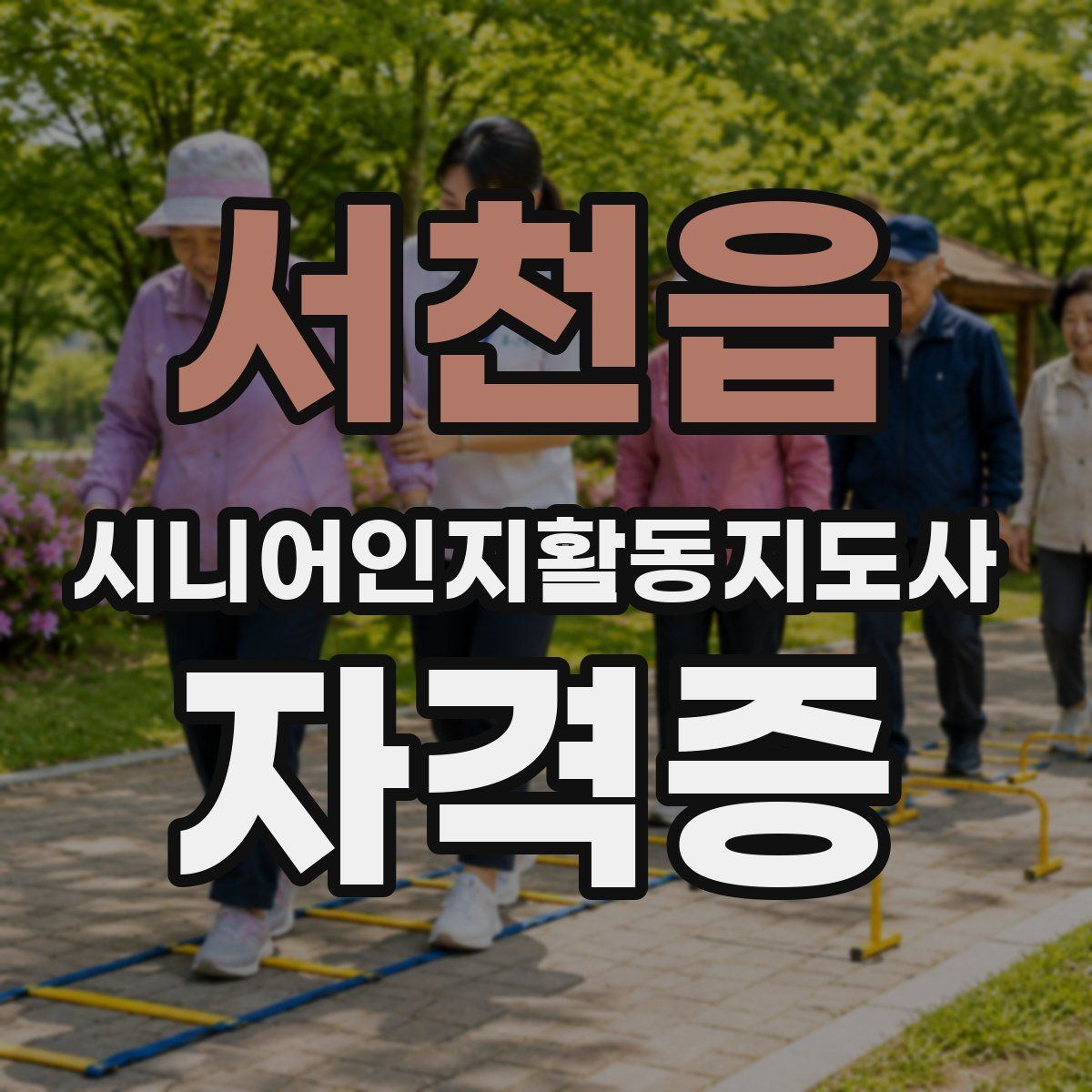 서천읍 시니어인지활동지도사 자격증