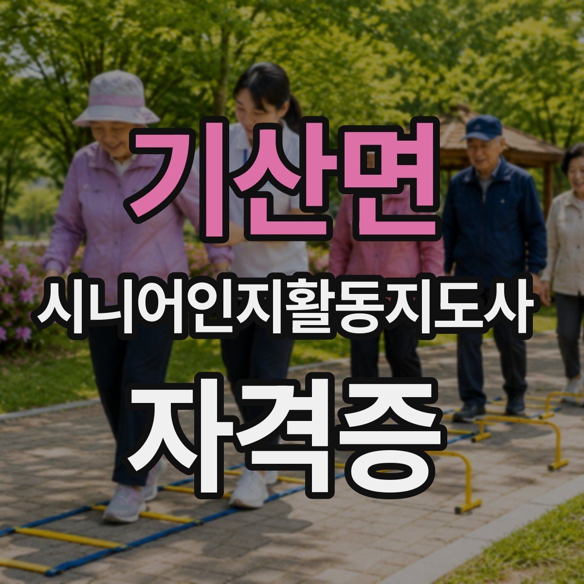 기산면 시니어인지활동지도사 자격증 공부할 때 자주 나오는 개념