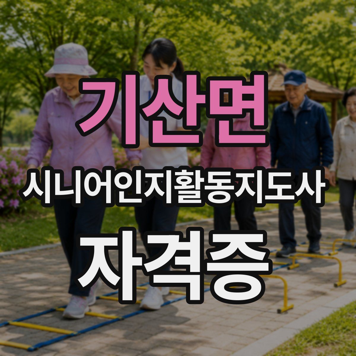 기산면 시니어인지활동지도사 자격증