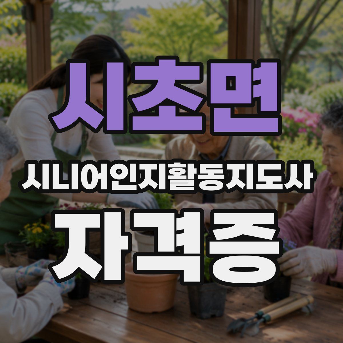 시초면 시니어인지활동지도사 자격증