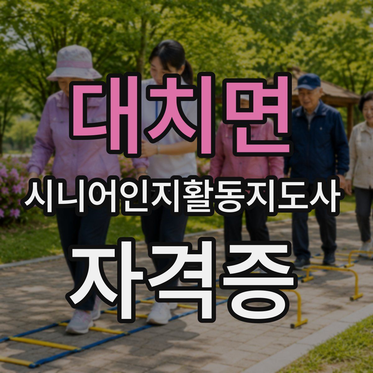 대치면 시니어인지활동지도사 자격증