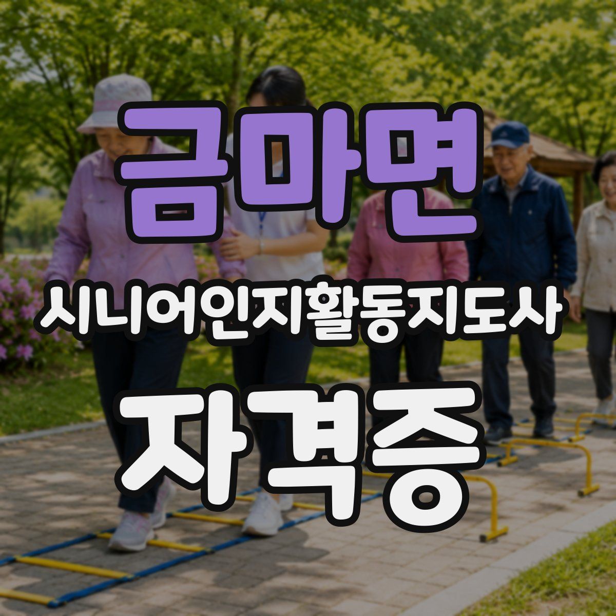 금마면 시니어인지활동지도사 자격증