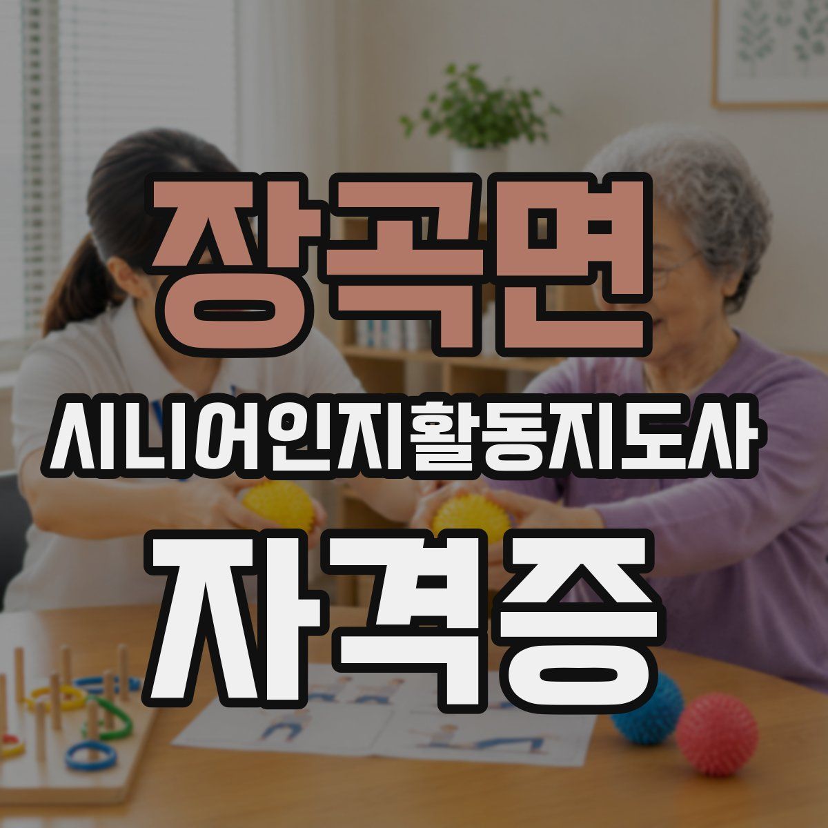 장곡면 시니어인지활동지도사 자격증