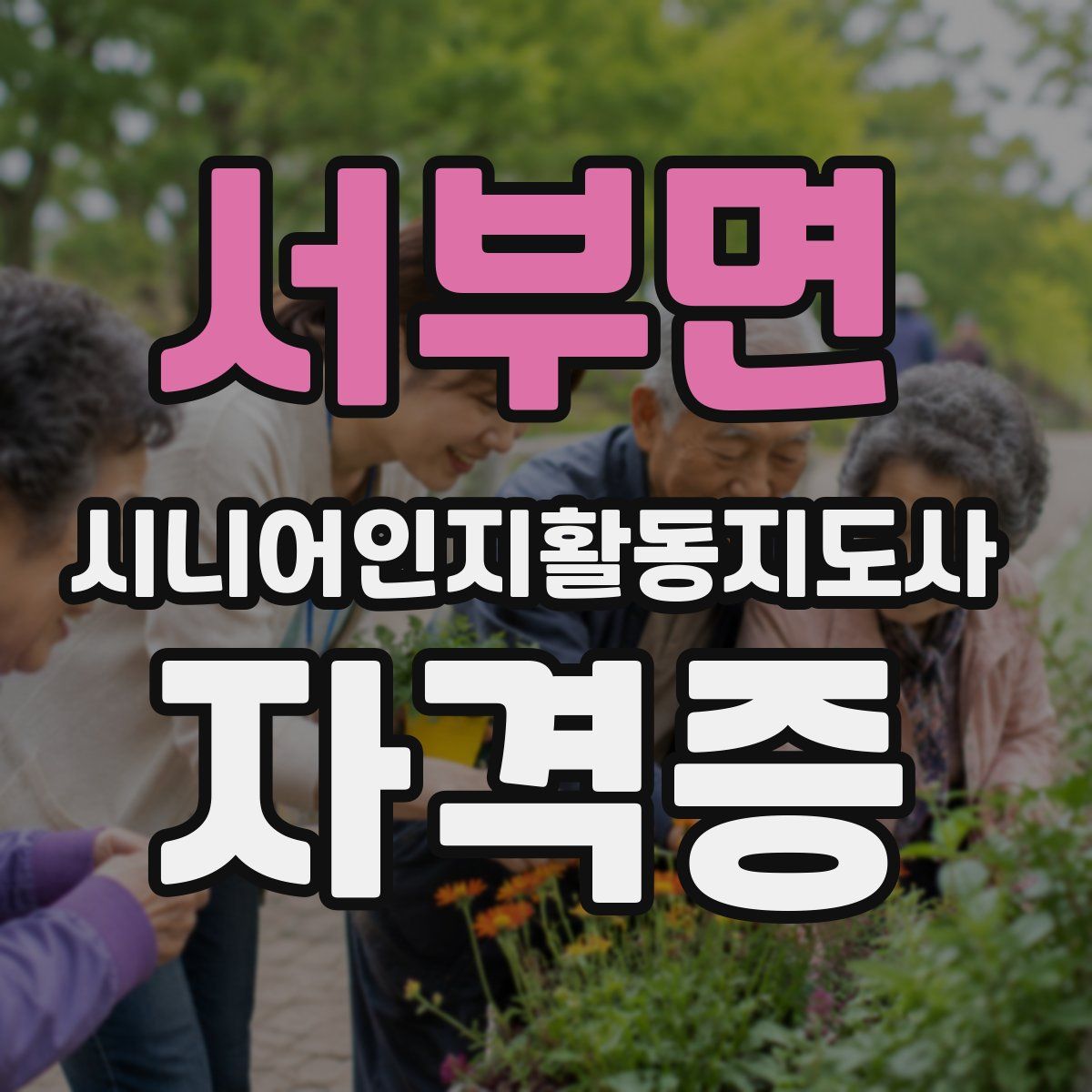 서부면 시니어인지활동지도사 자격증