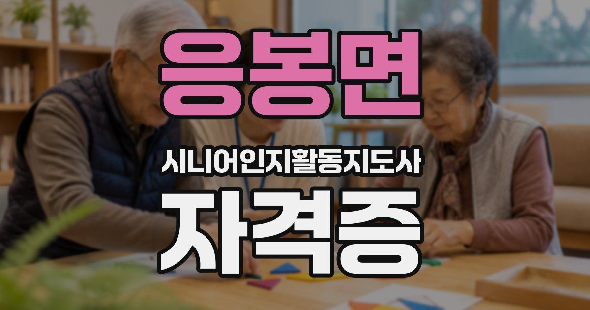 응봉면 시니어인지활동지도사 자격증