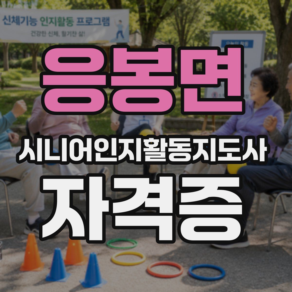 응봉면 시니어인지활동지도사 자격증