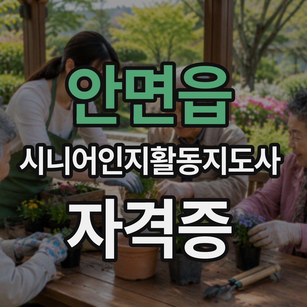 안면읍 시니어인지활동지도사 자격증