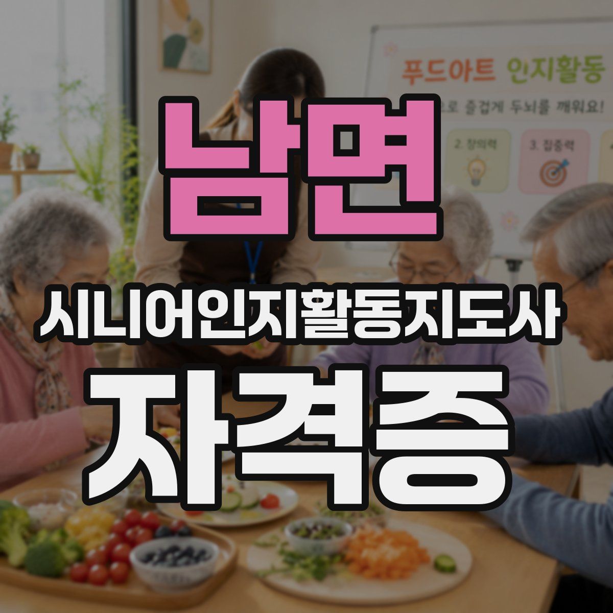 남면 시니어인지활동지도사 자격증
