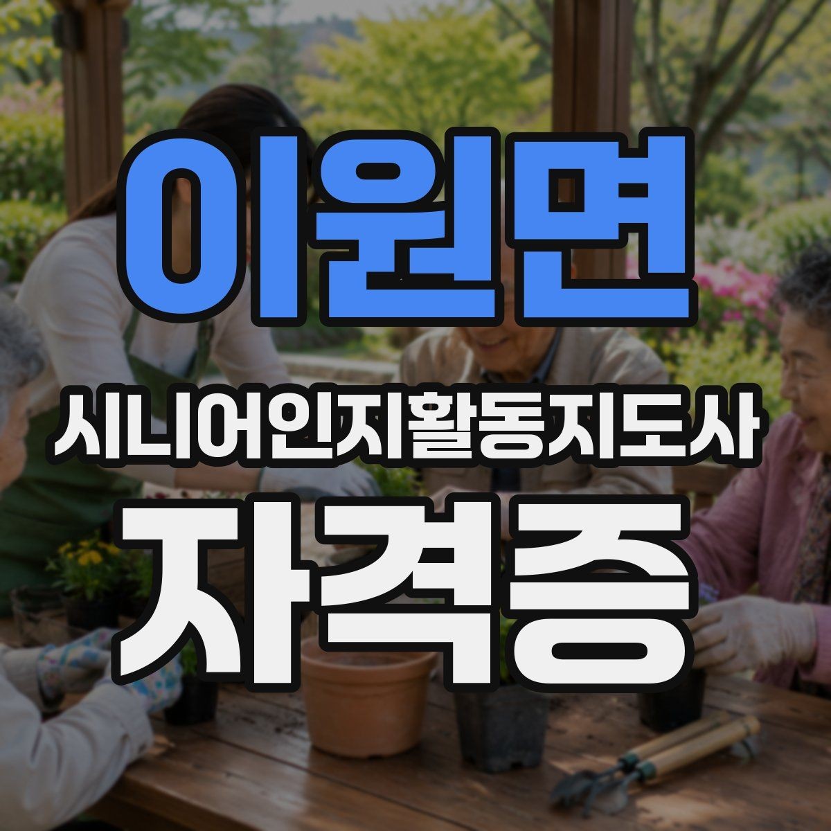 이원면 시니어인지활동지도사 자격증 준비 과정에서 보는 평가 기준