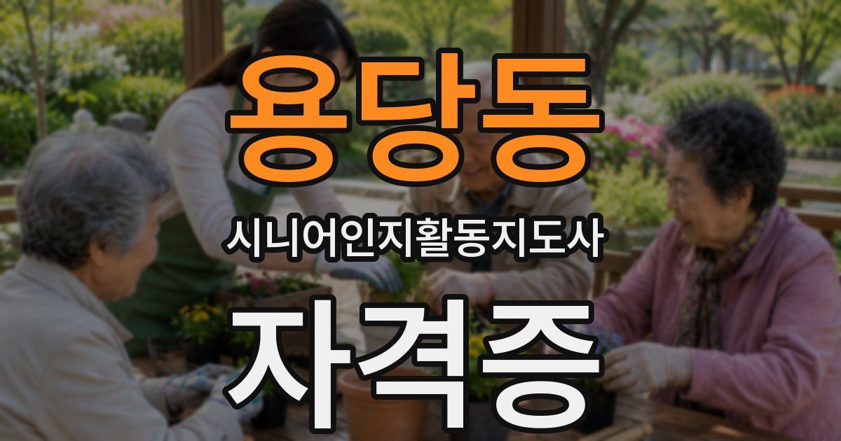 용당동 시니어인지활동지도사 자격증