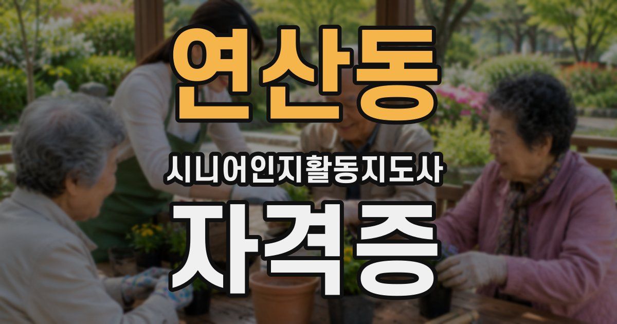 연산동 시니어인지활동지도사 자격증
