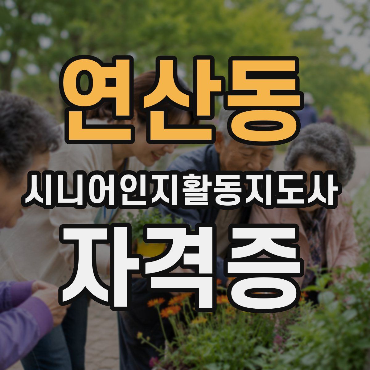 연산동 시니어인지활동지도사 자격증