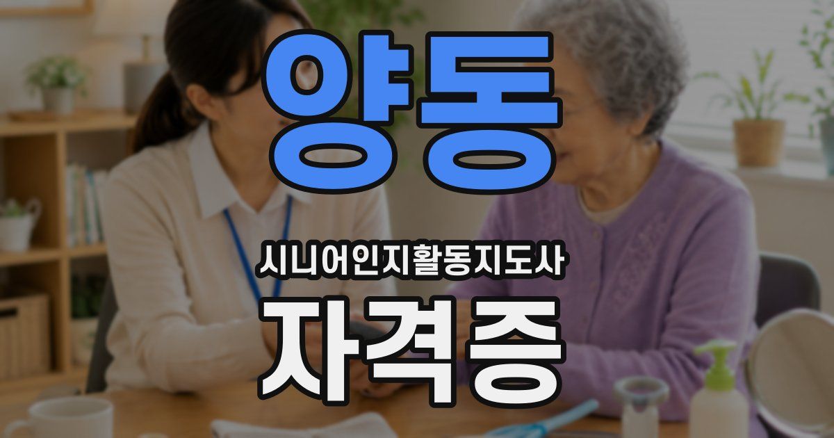 양동 시니어인지활동지도사 자격증