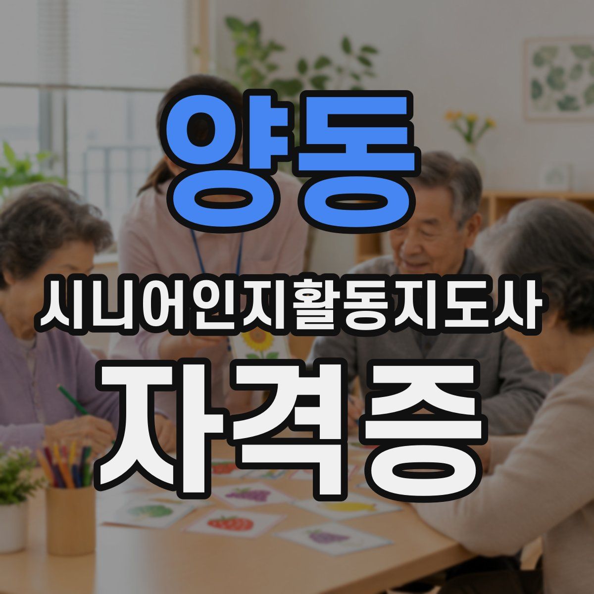 양동 시니어인지활동지도사 자격증
