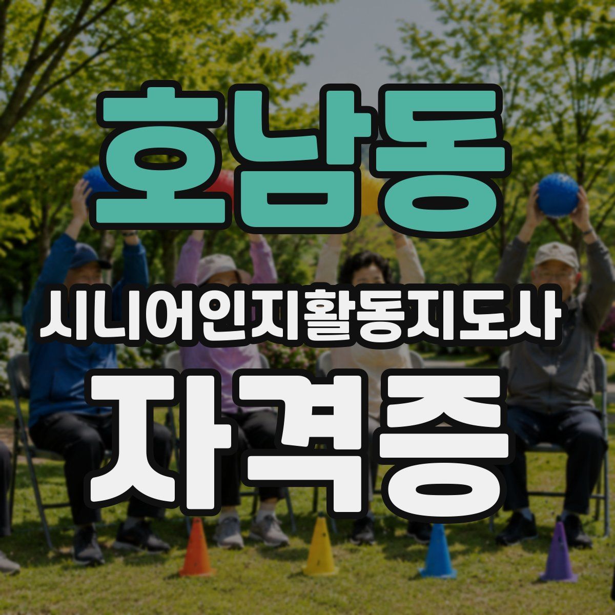 호남동 시니어인지활동지도사 자격증