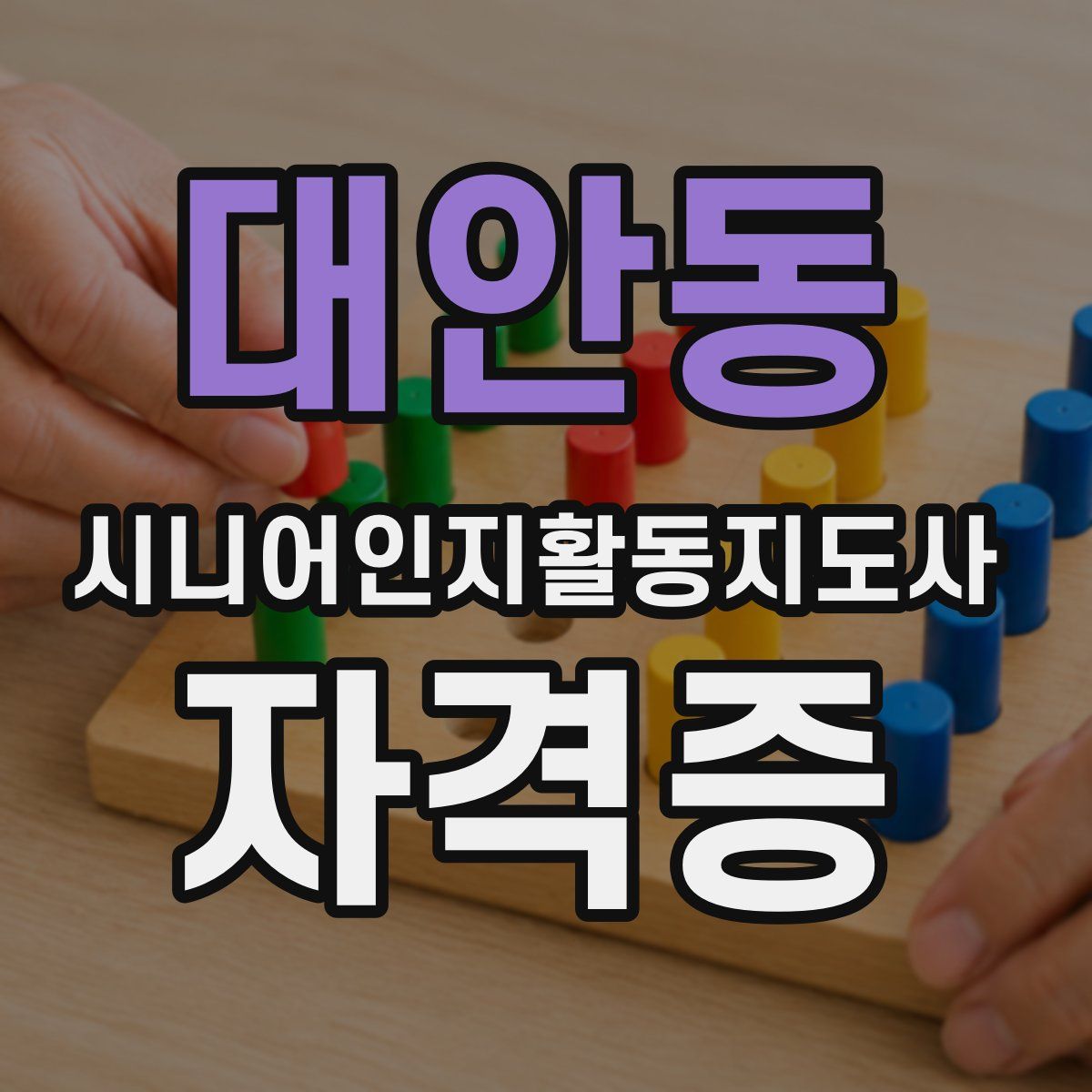 대안동 시니어인지활동지도사 자격증