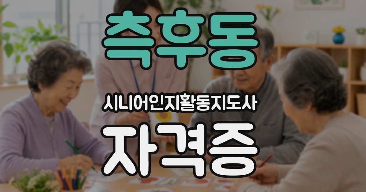 측후동 시니어인지활동지도사 자격증