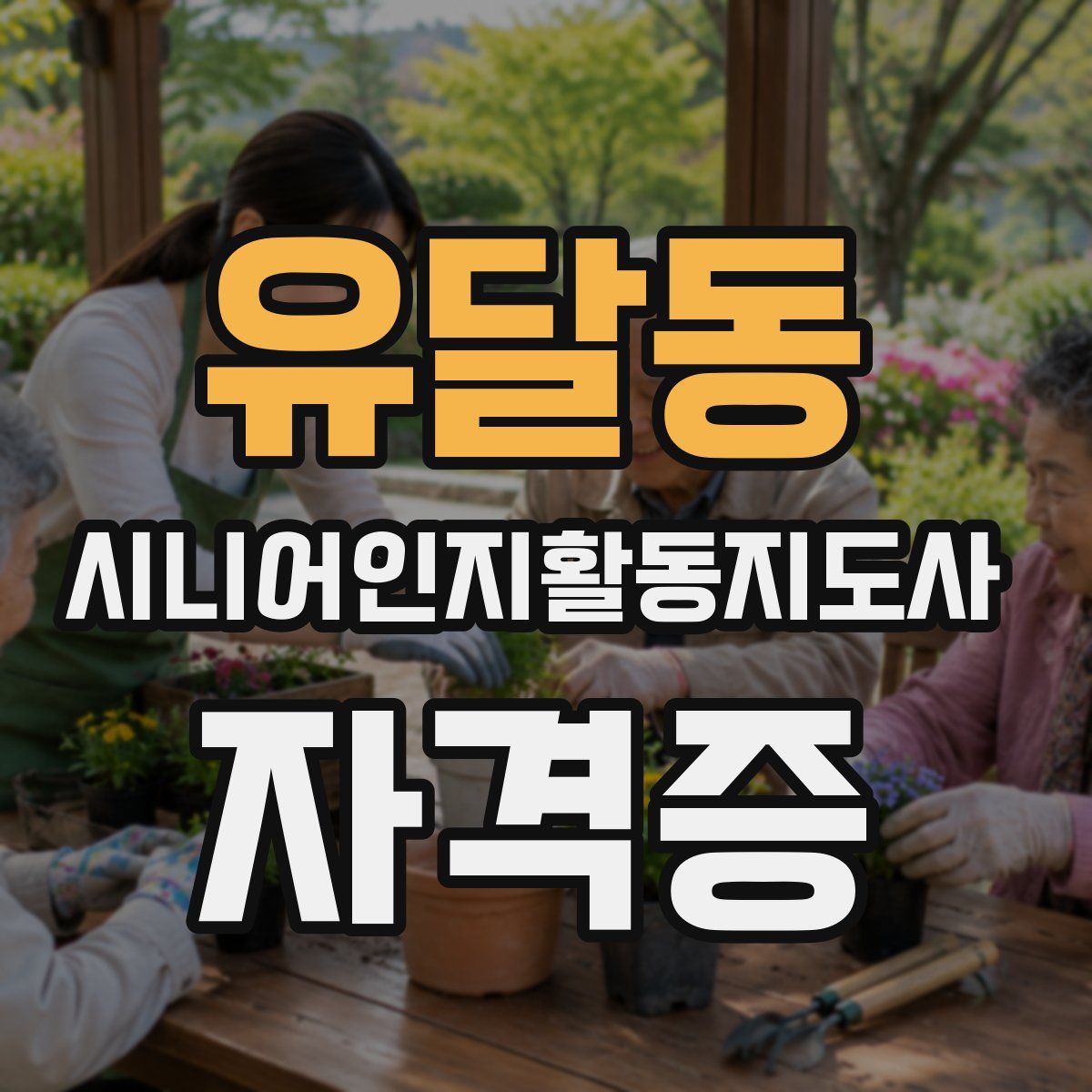 유달동 시니어인지활동지도사 자격증