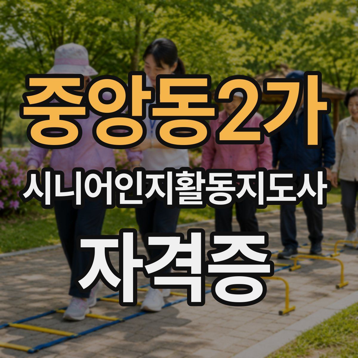 중앙동2가 시니어인지활동지도사 자격증