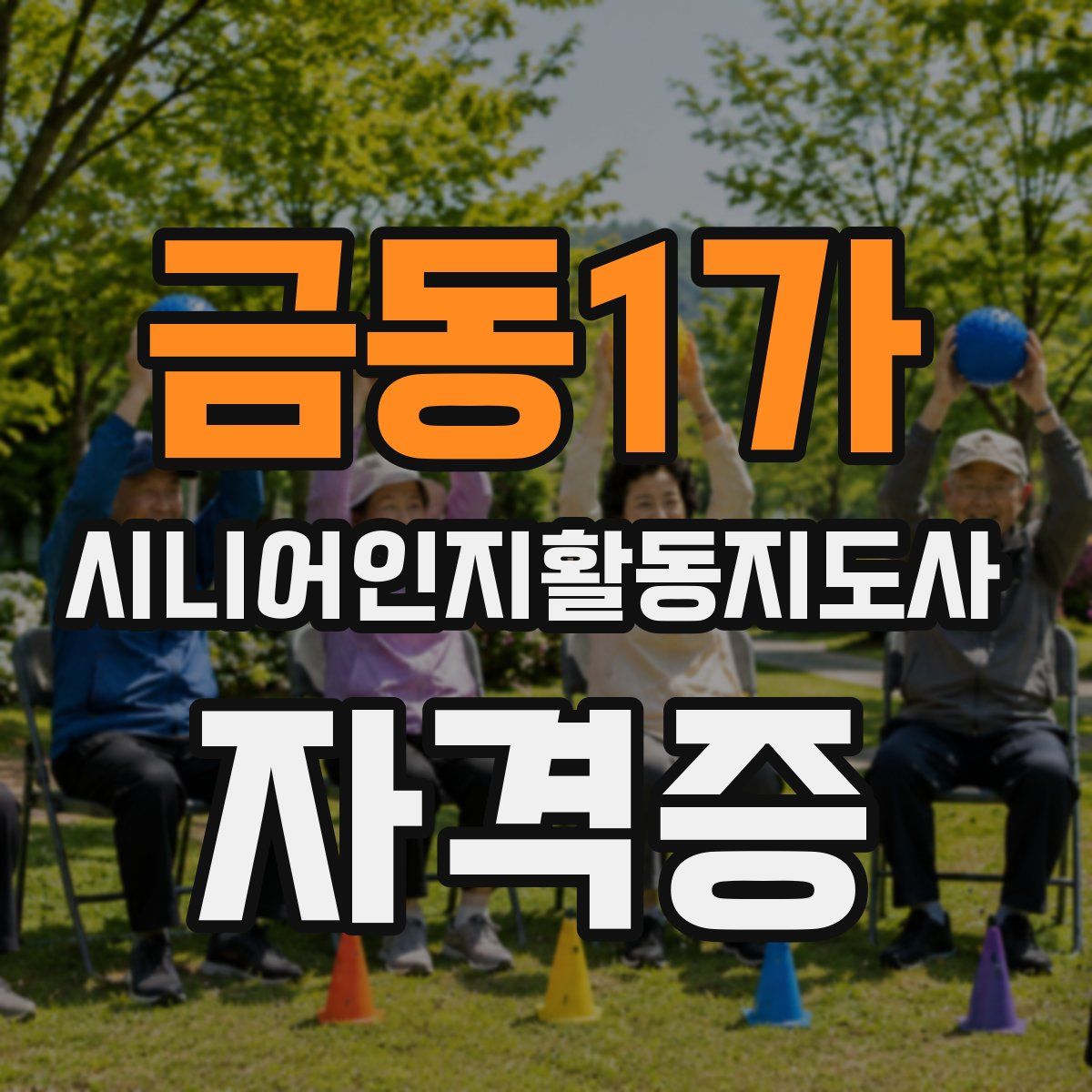 금동1가 시니어인지활동지도사 자격증