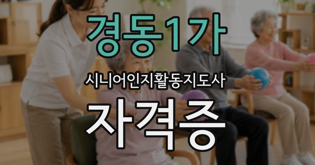 경동1가 시니어인지활동지도사 자격증