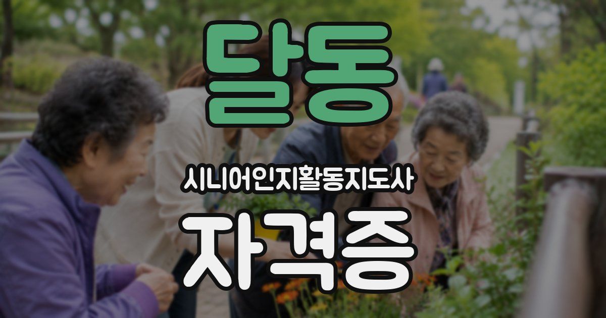 달동 시니어인지활동지도사 자격증