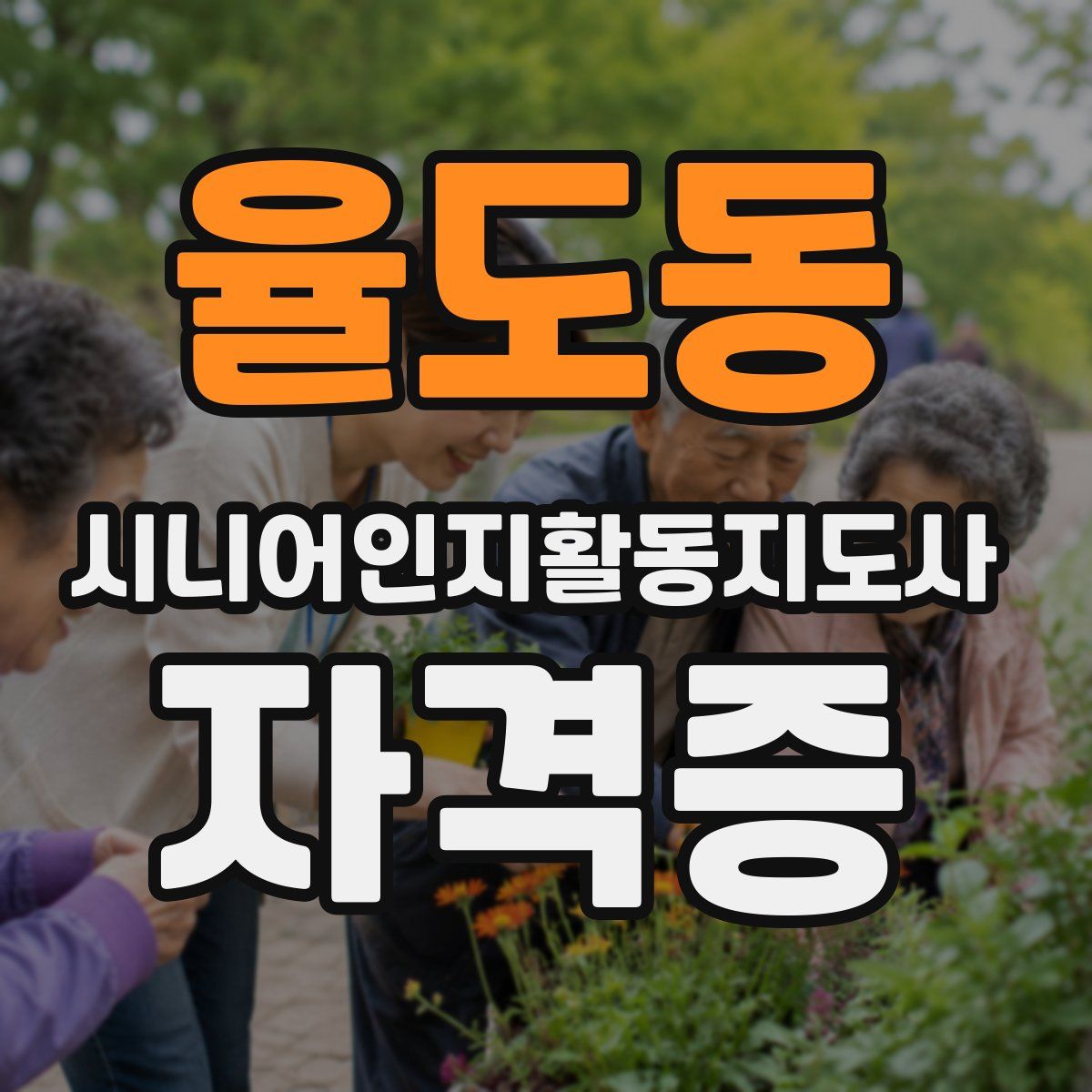 율도동 시니어인지활동지도사 자격증