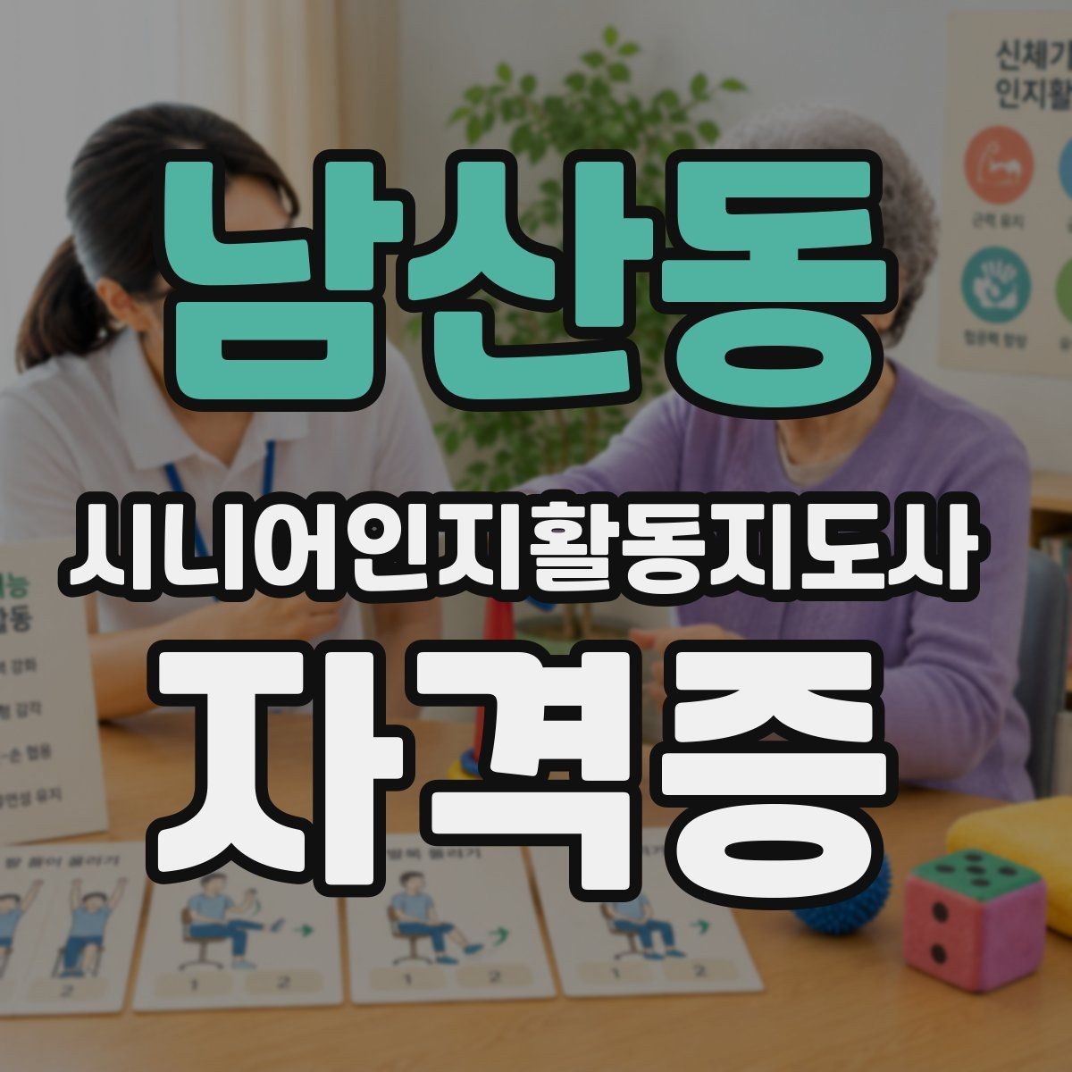 남산동 시니어인지활동지도사 자격증 관련 제도와 기본 용어