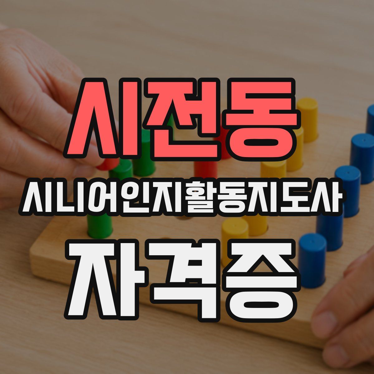 시전동 시니어인지활동지도사 자격증