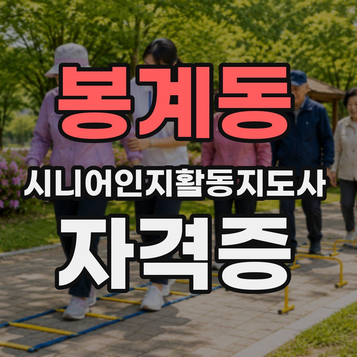 봉계동 시니어인지활동지도사 자격증