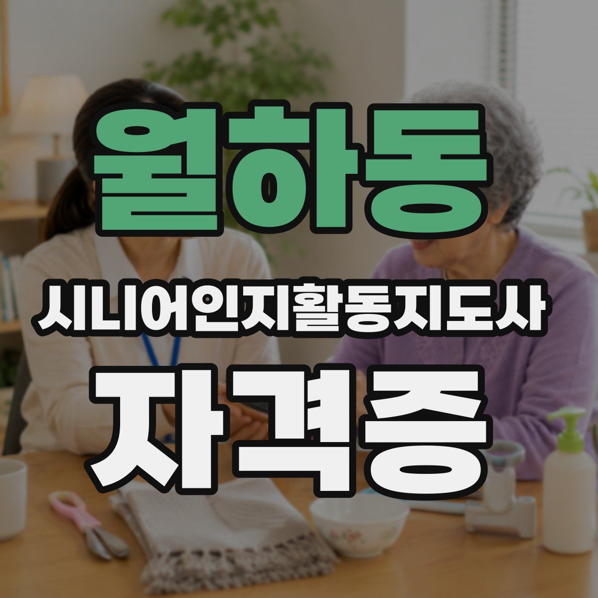 월하동 시니어인지활동지도사 자격증
