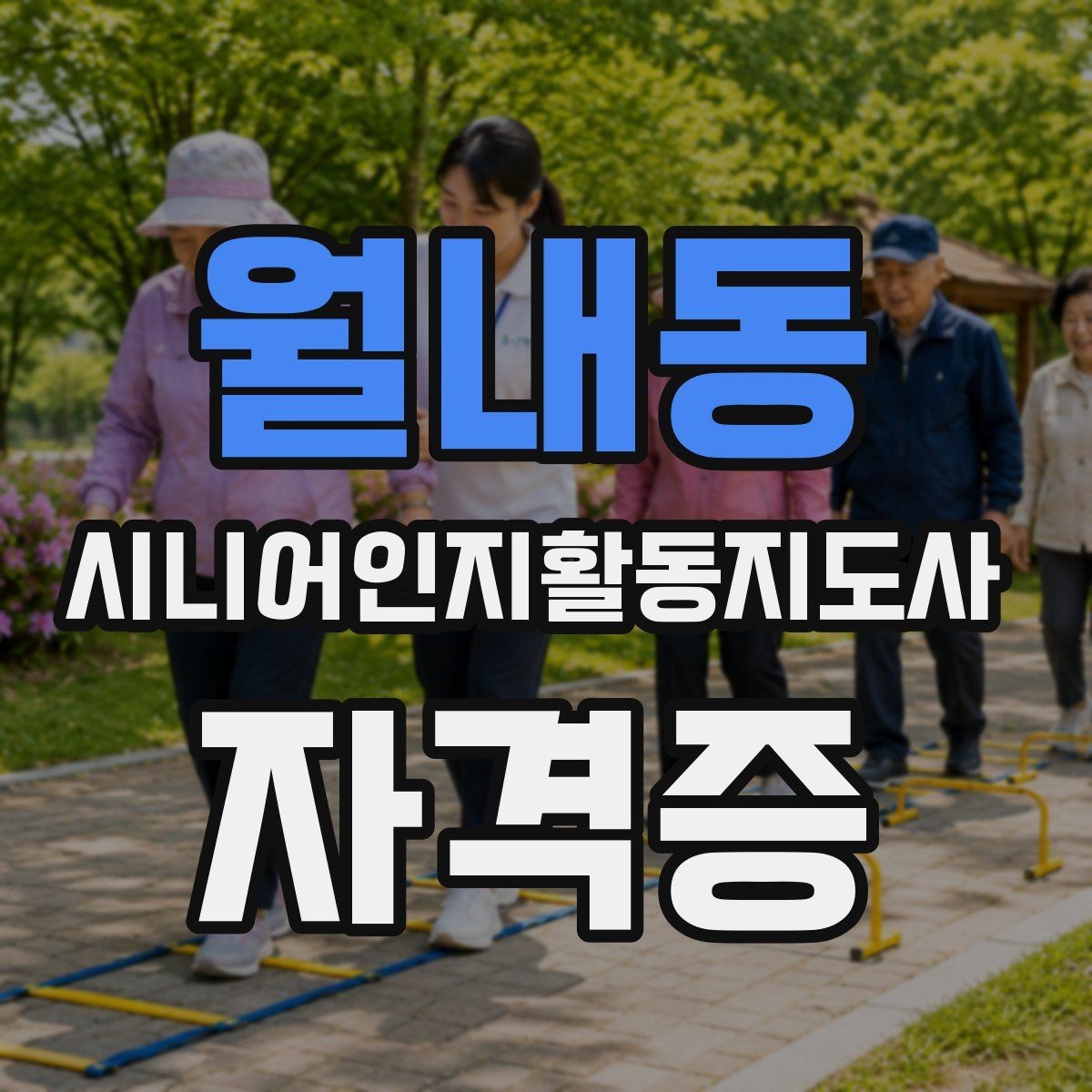 월내동 시니어인지활동지도사 자격증 시험 일정 확인 포인트