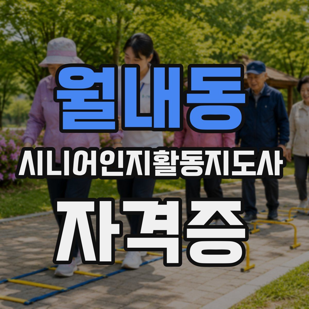 월내동 시니어인지활동지도사 자격증