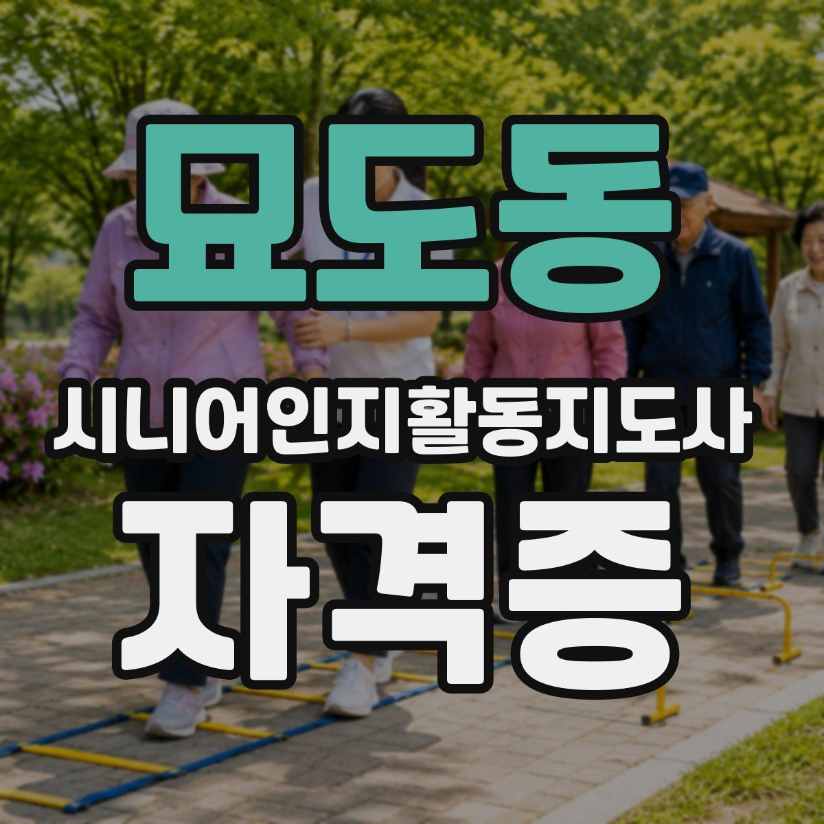 묘도동 시니어인지활동지도사 자격증