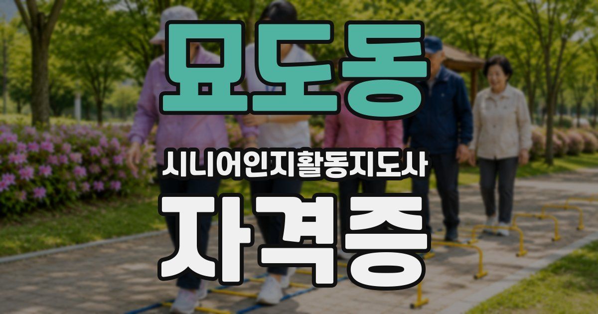 묘도동 시니어인지활동지도사 자격증