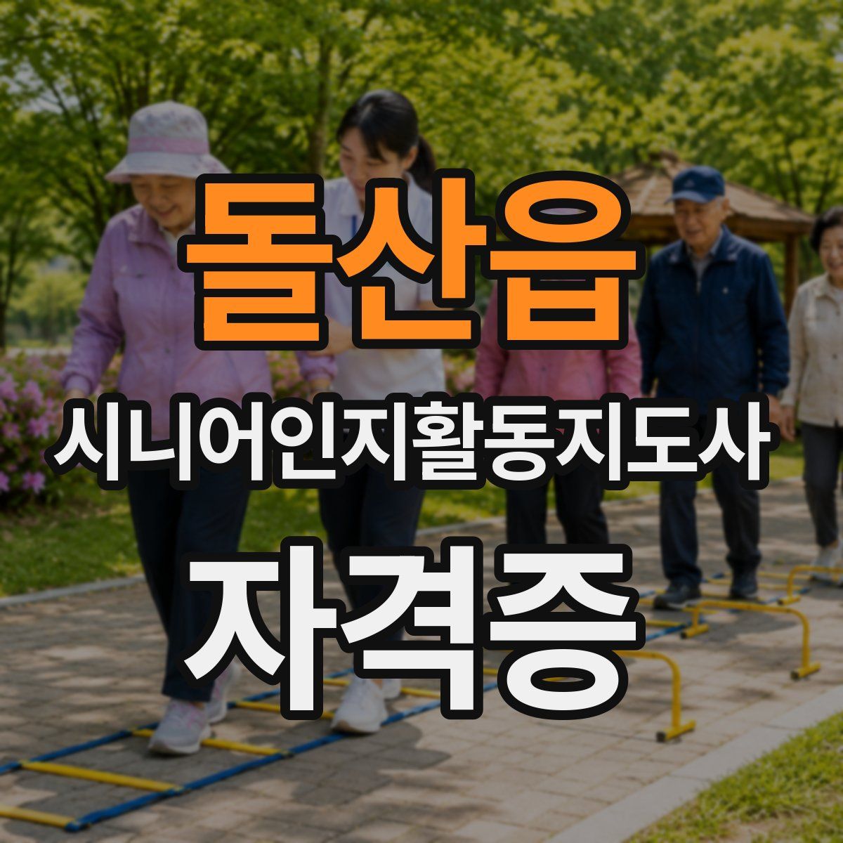 돌산읍 시니어인지활동지도사 자격증