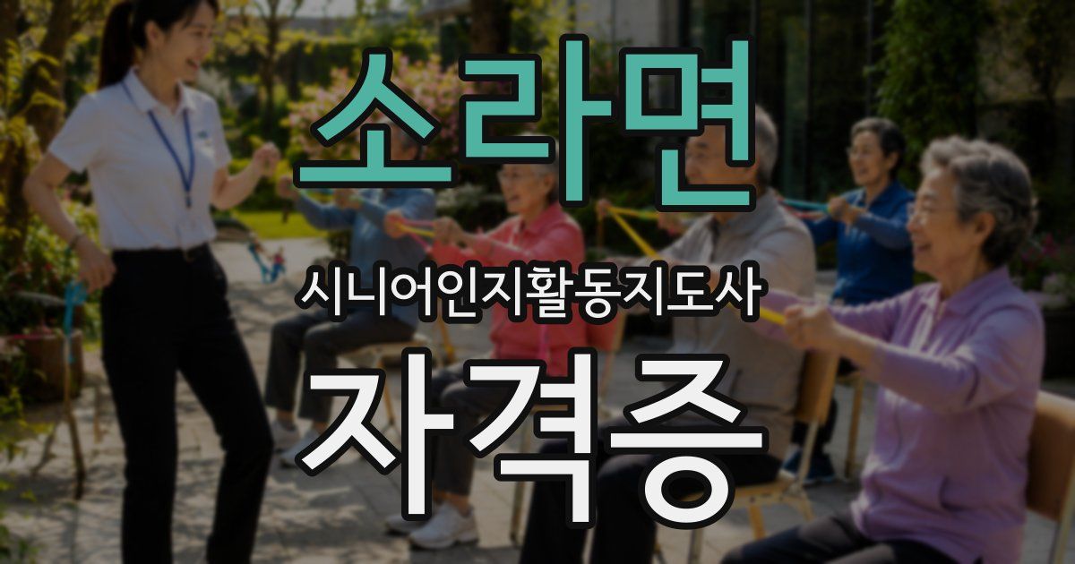 소라면 시니어인지활동지도사 자격증