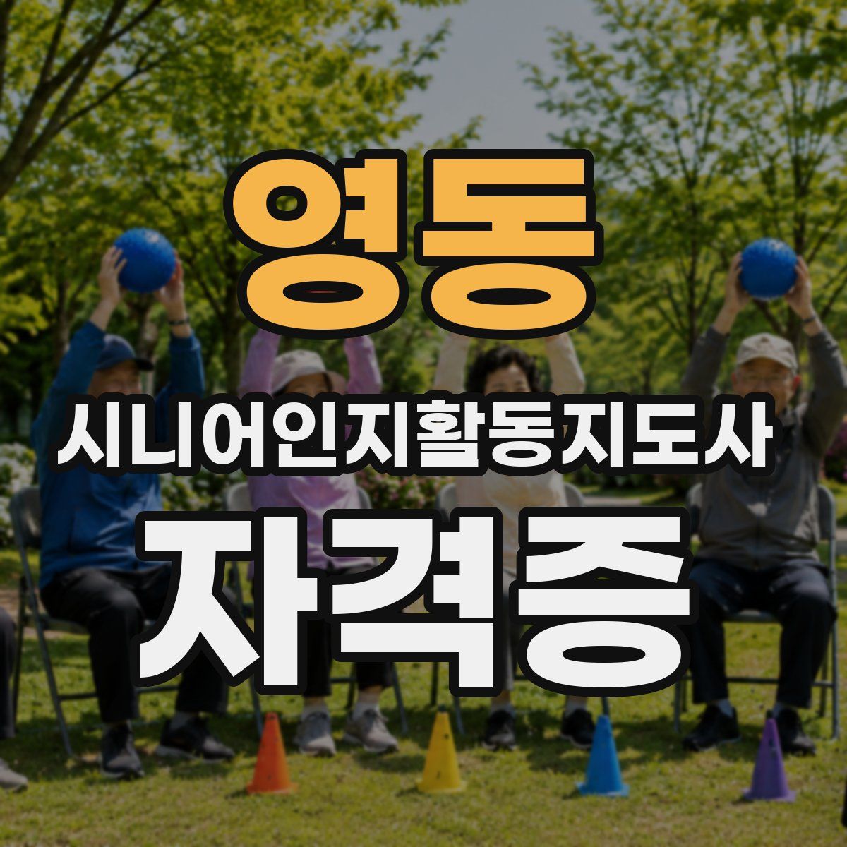 영동 시니어인지활동지도사 자격증