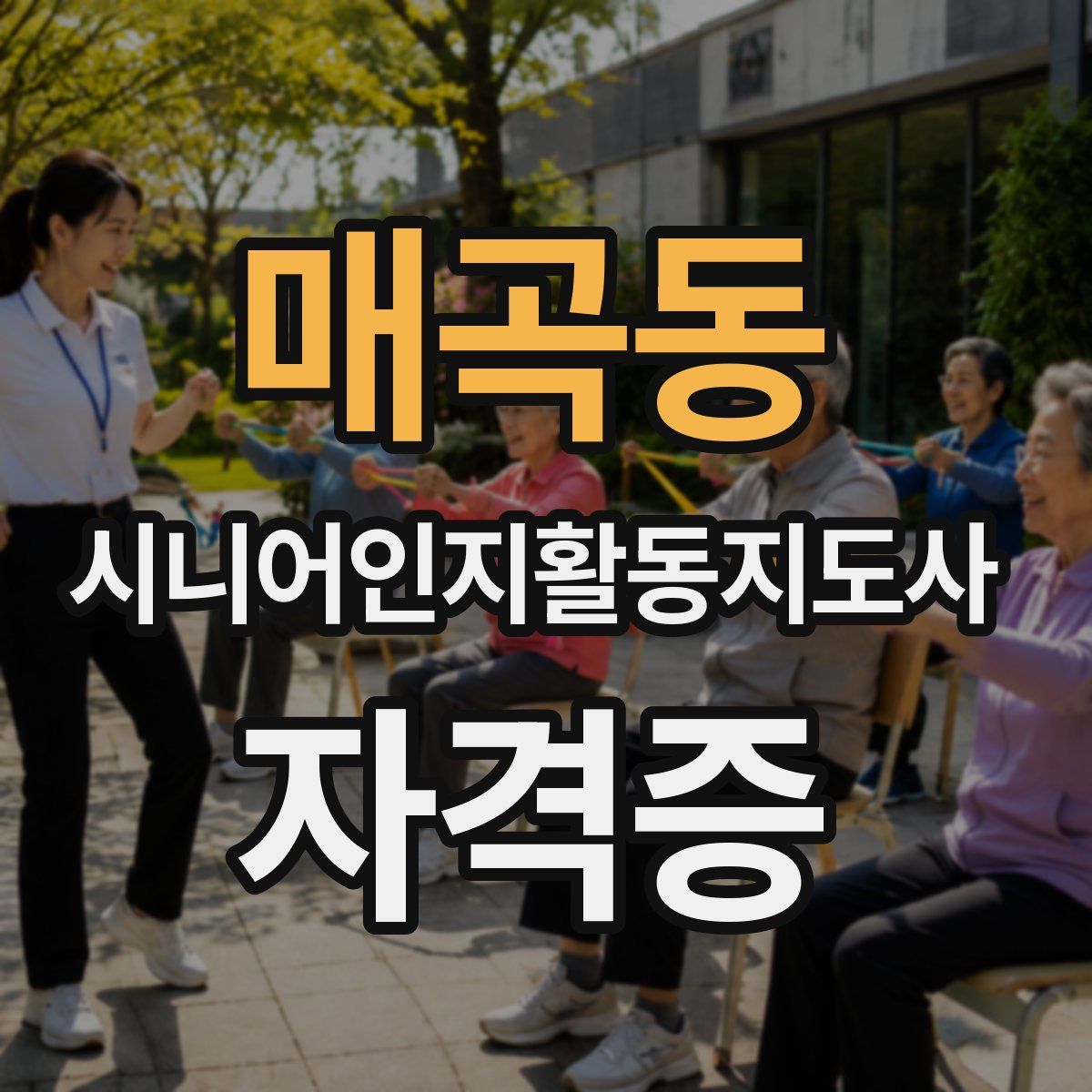 매곡동 시니어인지활동지도사 자격증
