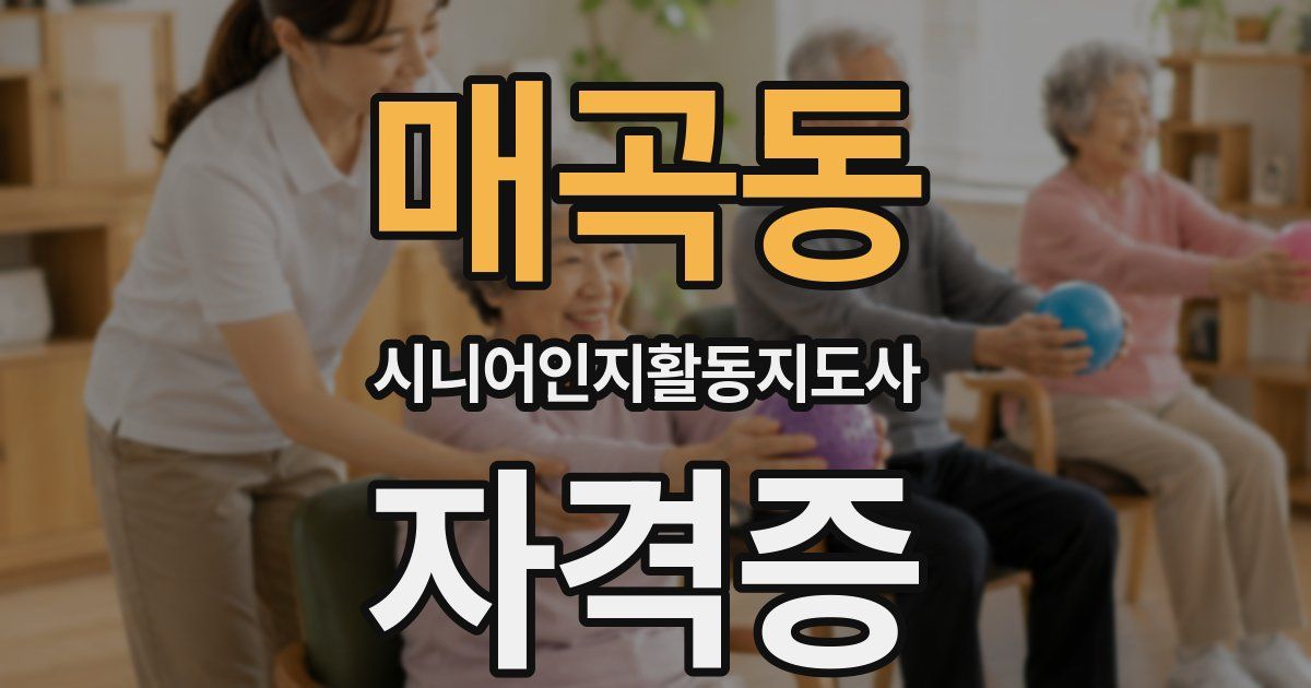 매곡동 시니어인지활동지도사 자격증