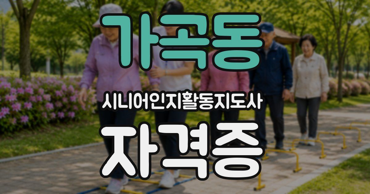 가곡동 시니어인지활동지도사 자격증