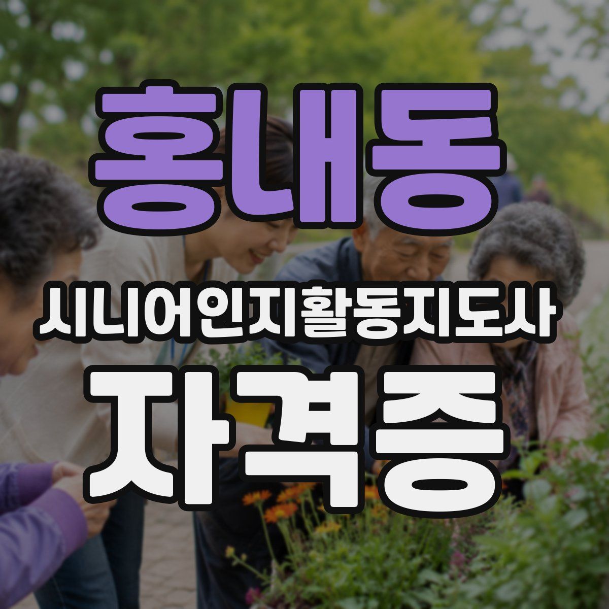 홍내동 시니어인지활동지도사 자격증