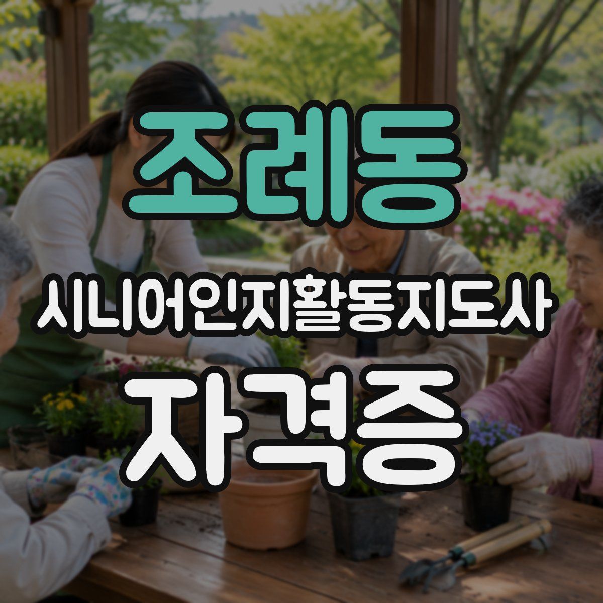조례동 시니어인지활동지도사 자격증