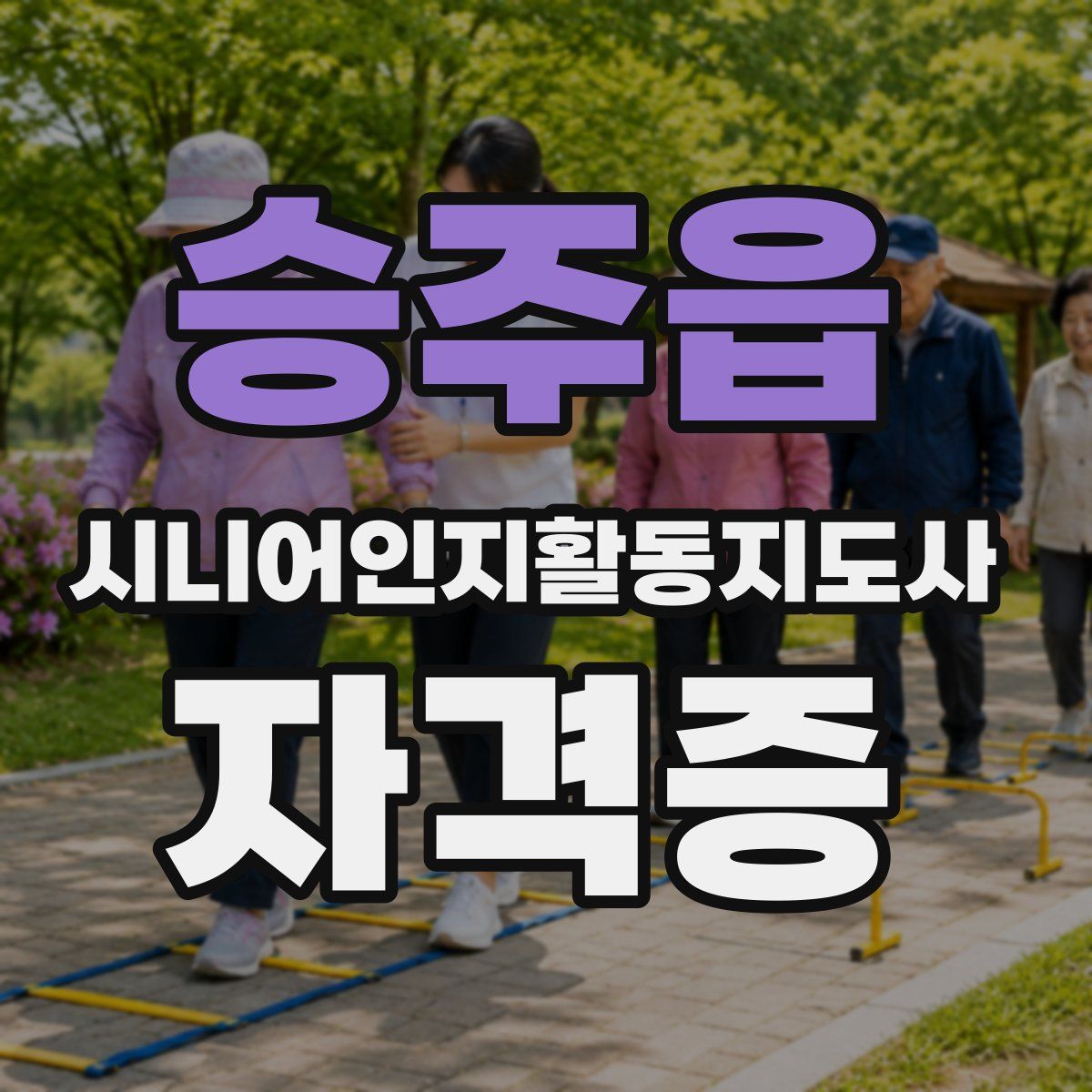 승주읍 시니어인지활동지도사 자격증