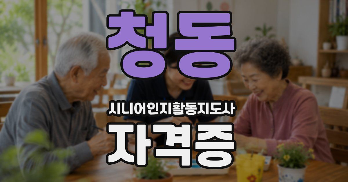 청동 시니어인지활동지도사 자격증