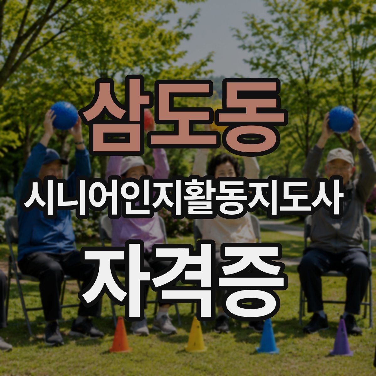 삼도동 시니어인지활동지도사 자격증