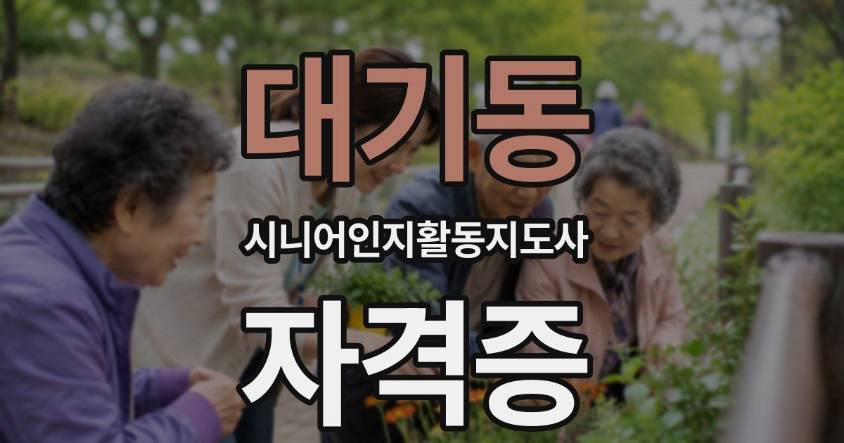 대기동 시니어인지활동지도사 자격증