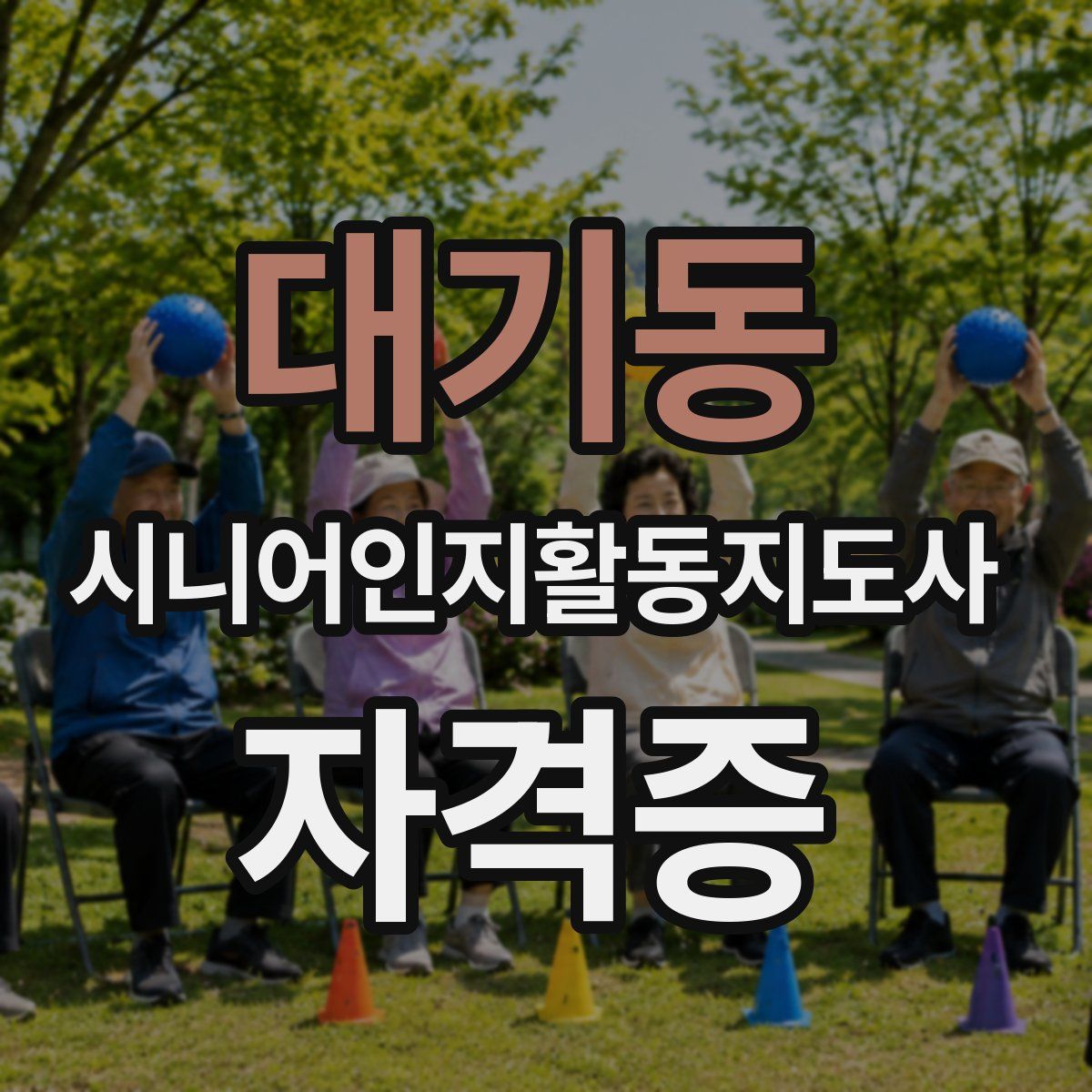 대기동 시니어인지활동지도사 자격증
