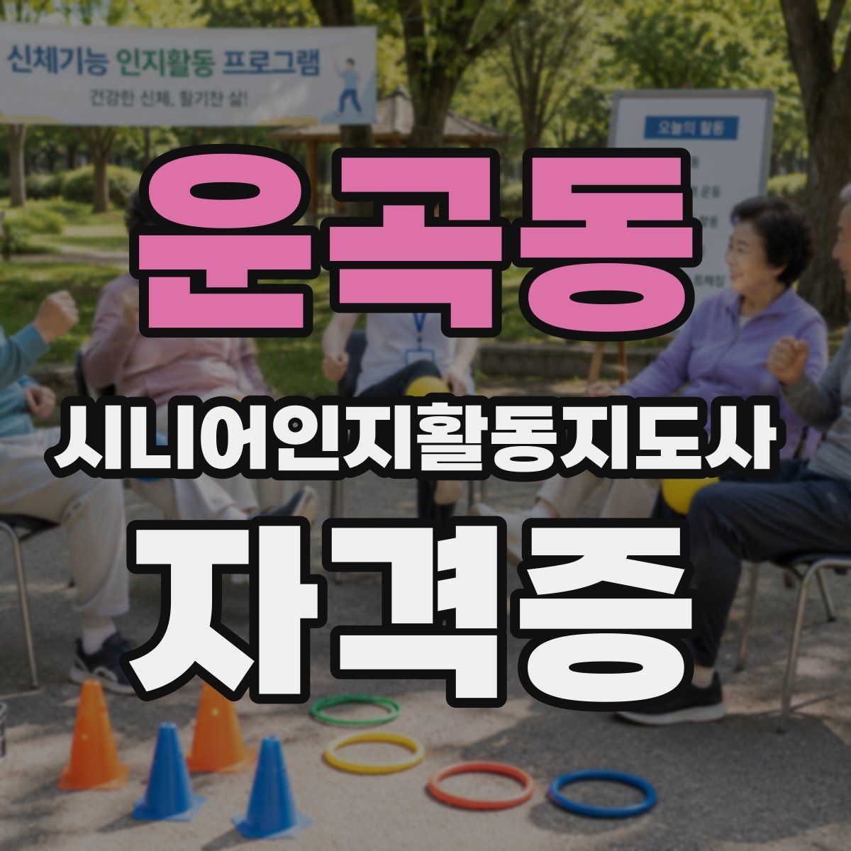운곡동 시니어인지활동지도사 자격증